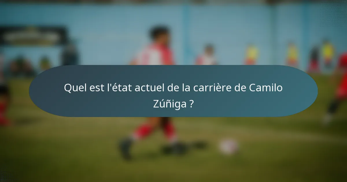 Quel est l'état actuel de la carrière de Camilo Zúñiga ?